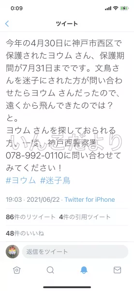 コメントの画像