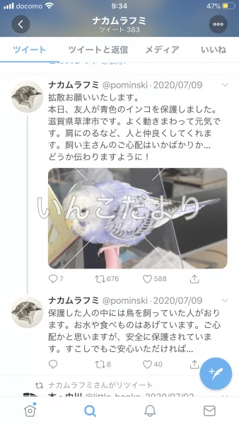 コメントの画像