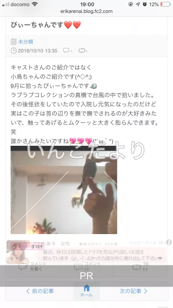 コメントの画像