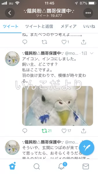 コメントの画像