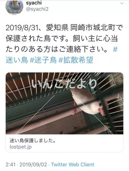 コメントの画像