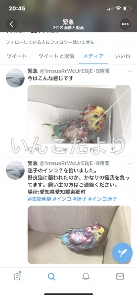 コメントの画像