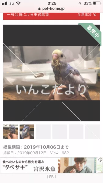 コメントの画像