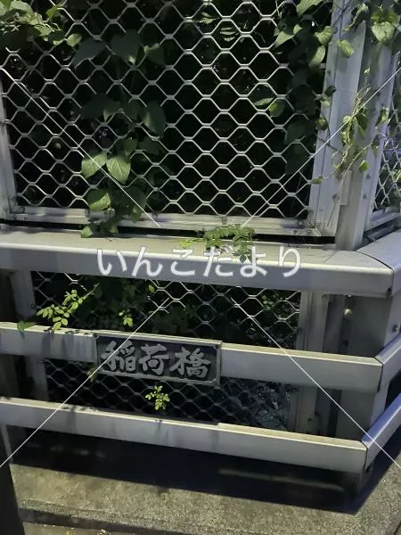 コメントの画像