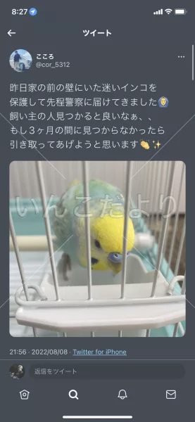 コメントの画像