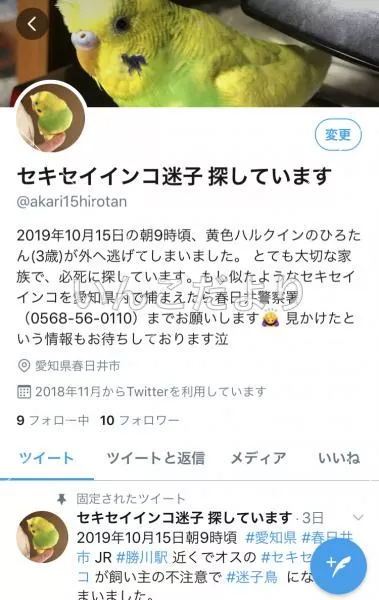 コメントの画像