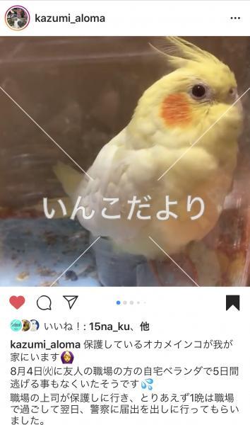 コメントの画像