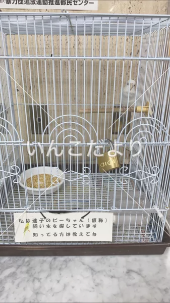 コメントの画像