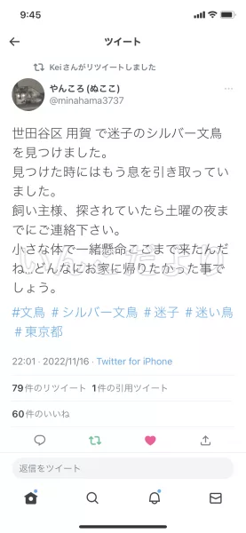 コメントの画像