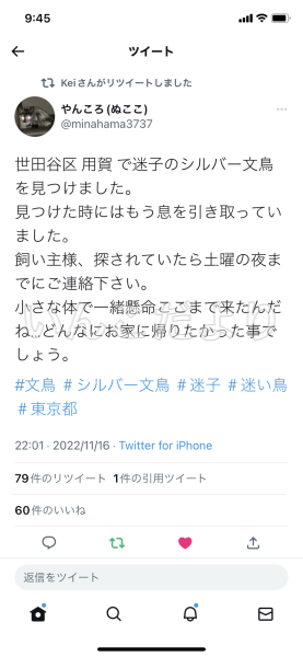 コメントの画像