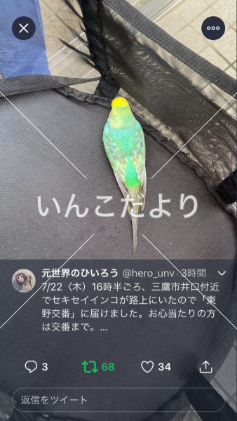 コメントの画像