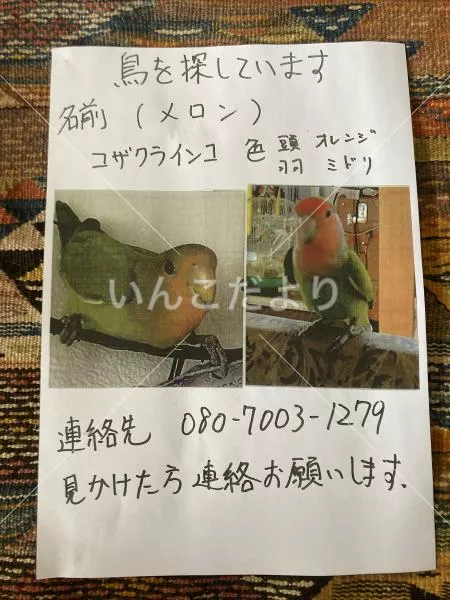 コメントの画像