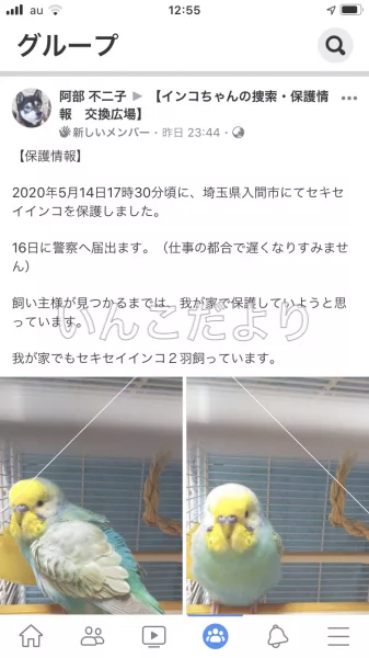 コメントの画像