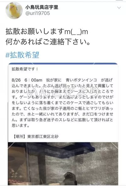 コメントの画像