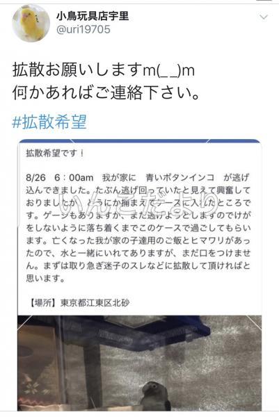 コメントの画像