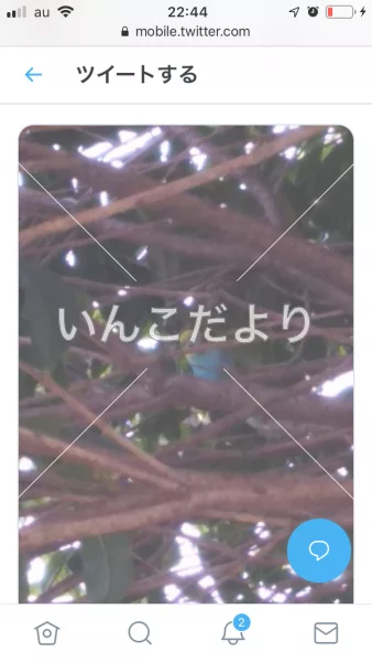 コメントの画像