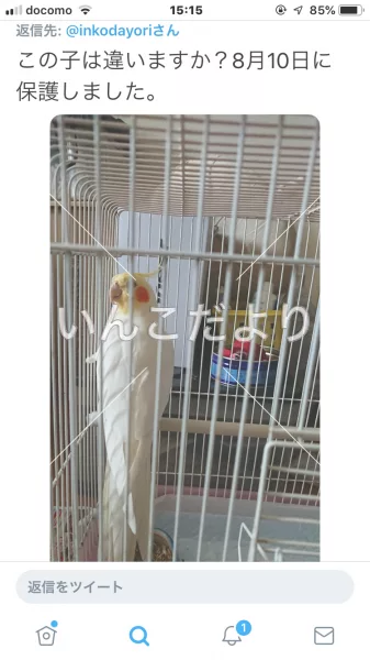 コメントの画像