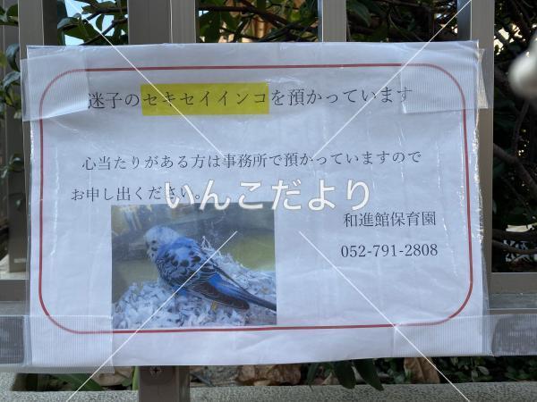 コメントの画像