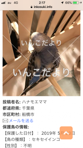 コメントの画像