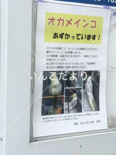 コメントの画像