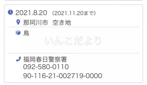 コメントの画像