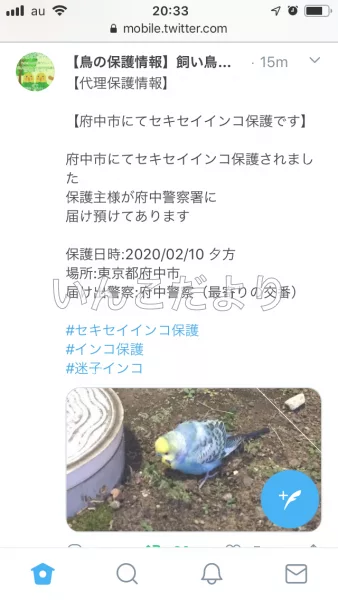 コメントの画像