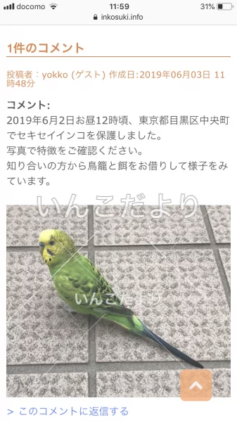 コメントの画像