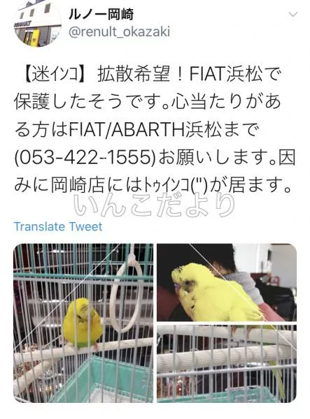 コメントの画像