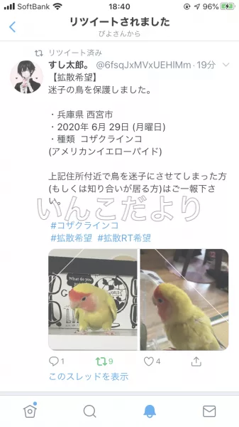 コメントの画像