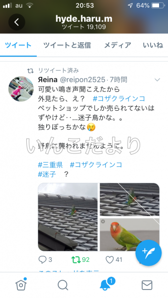 コメントの画像