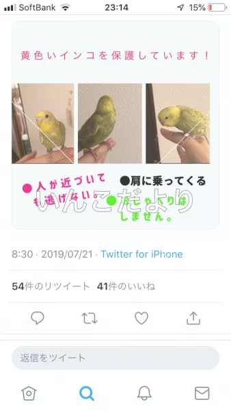 コメントの画像