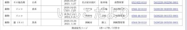 コメントの画像