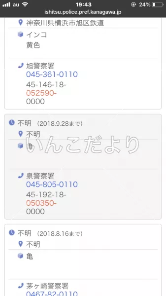 コメントの画像