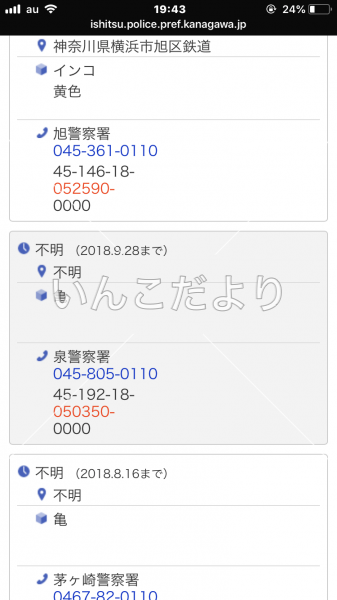 コメントの画像