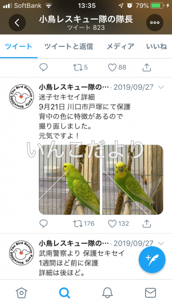 コメントの画像