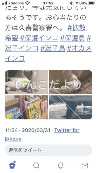 コメントの画像