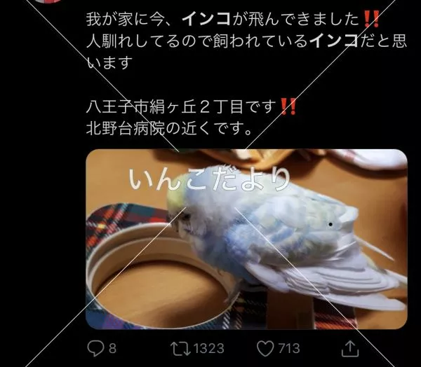 コメントの画像