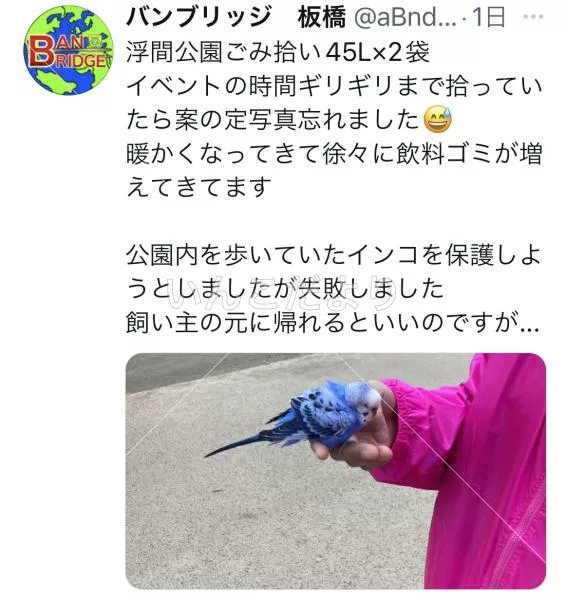 コメントの画像