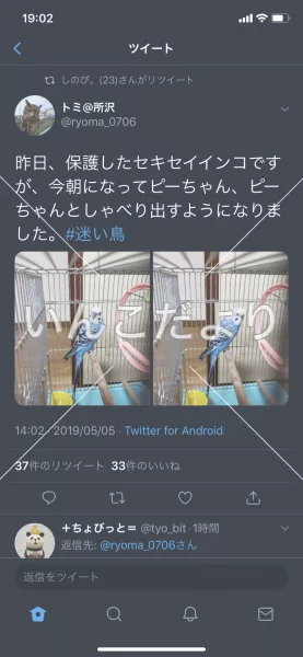 コメントの画像