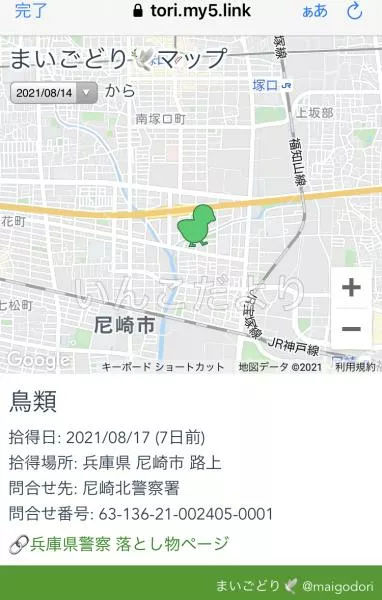 コメントの画像