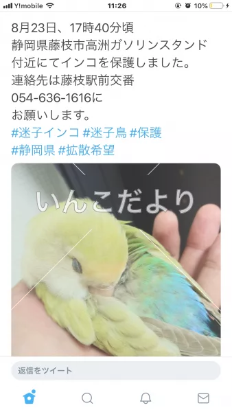 コメントの画像