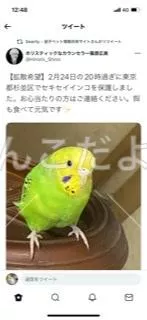 コメントの画像