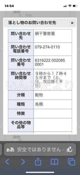 コメントの画像