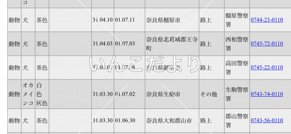 コメントの画像