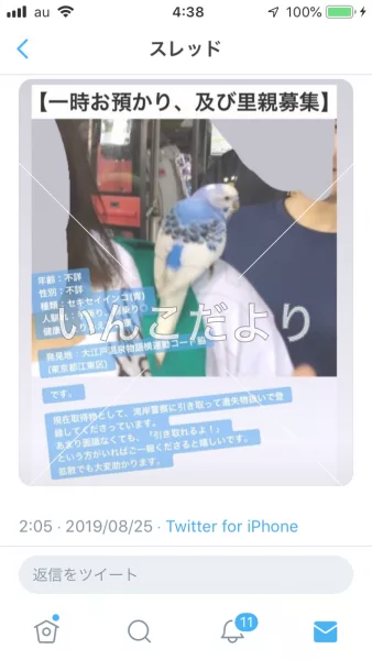 コメントの画像