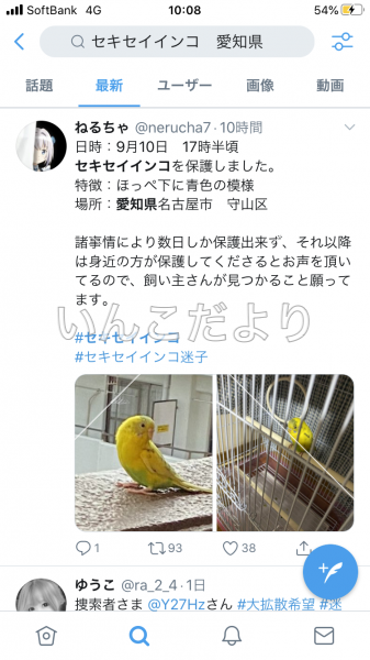 コメントの画像