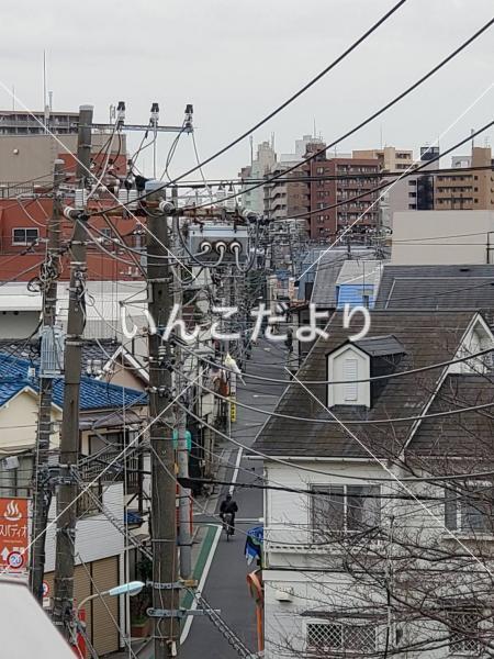 コメントの画像