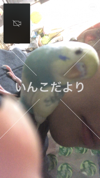 コメントの画像