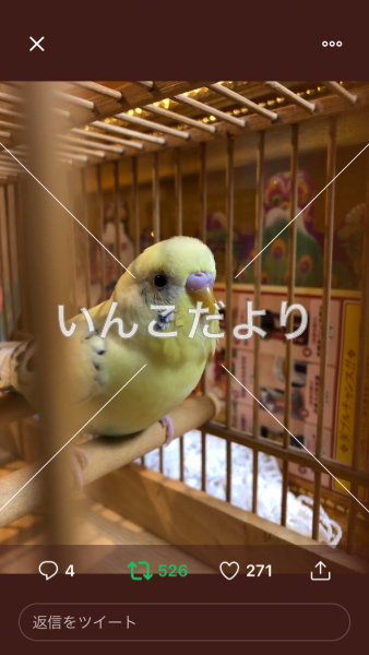 コメントの画像