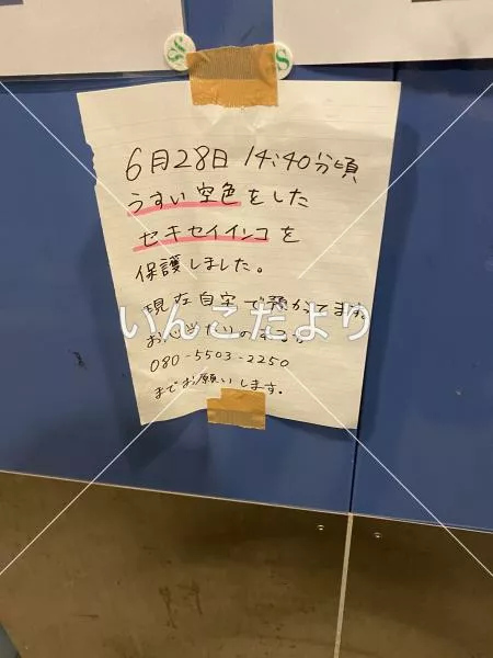 コメントの画像